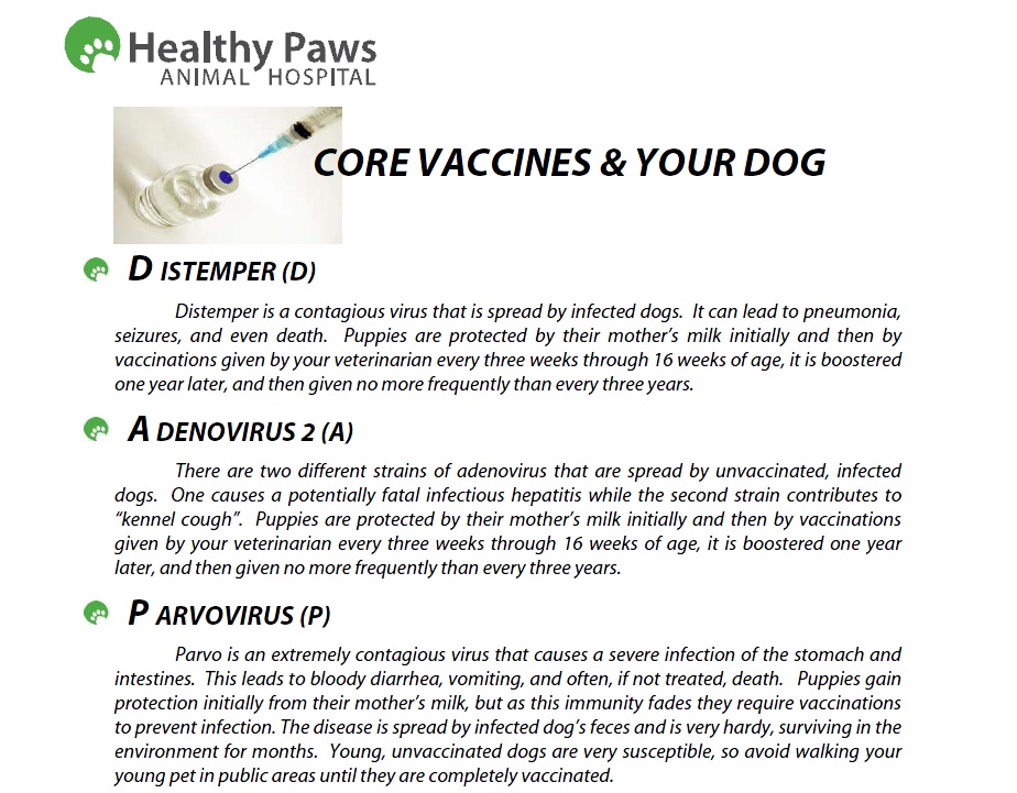 Vaccines Core vs NonCore, Canine Healthy Paws Animal Hospital