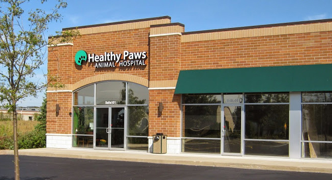 Algonquin IL Veterinarian - Healthy Paws Animal Hospital