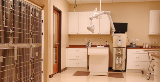 Our state of the art veterinarian facility near Lakewood , IL