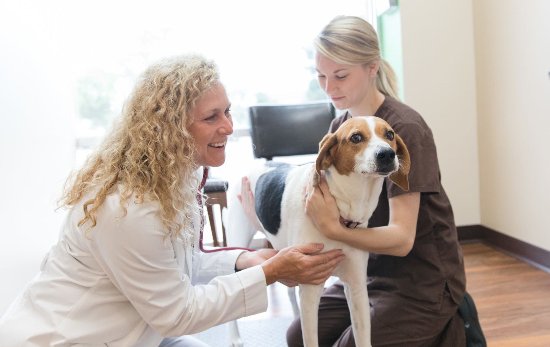 Veterinarian In Lake In The Hills, IL - Healthy Paws Animal Hospital