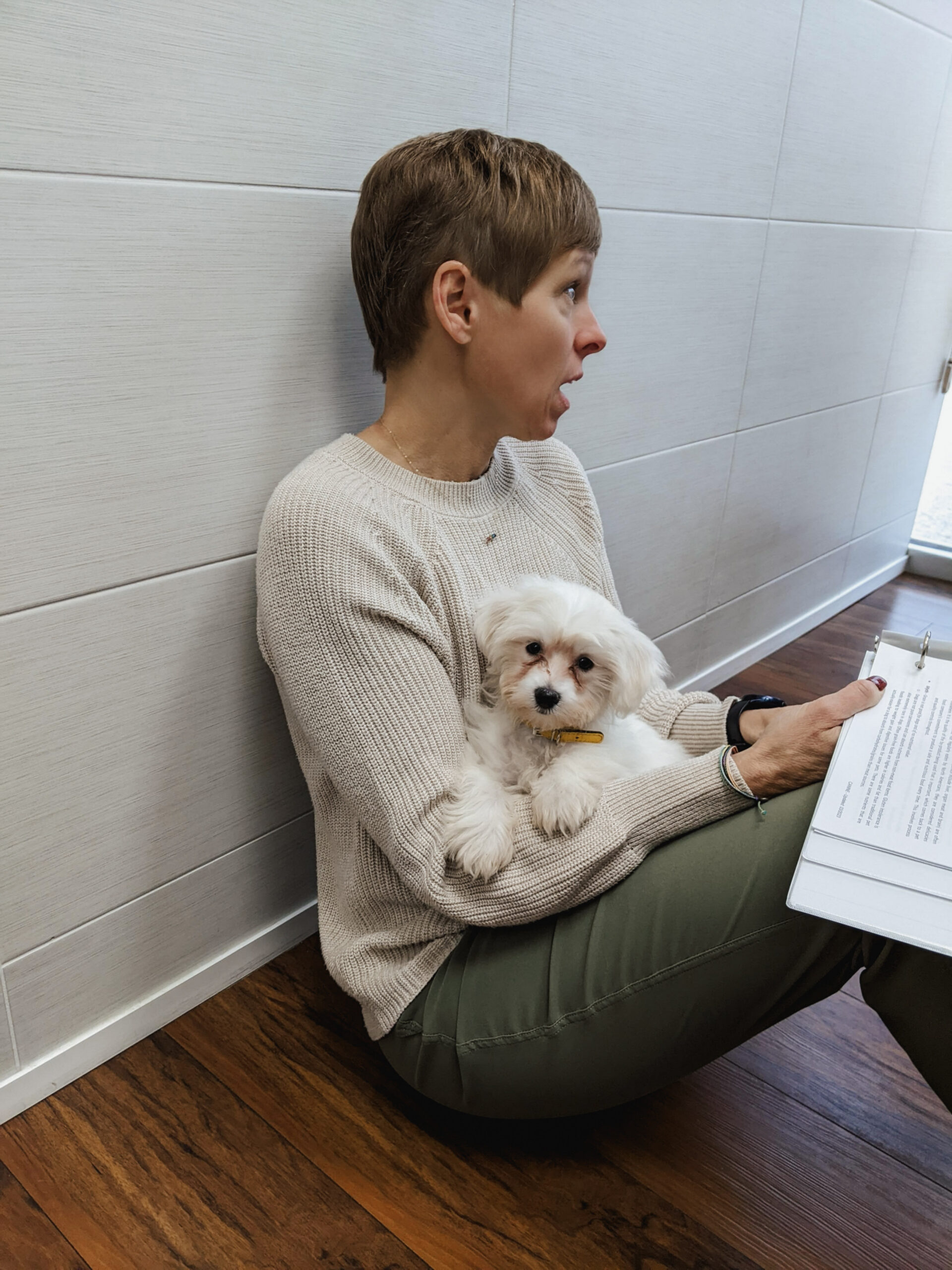 Puppy sitting on vet's lap