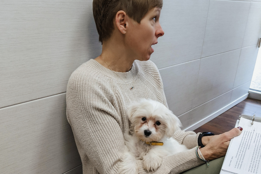 Puppy sitting on vet's lap