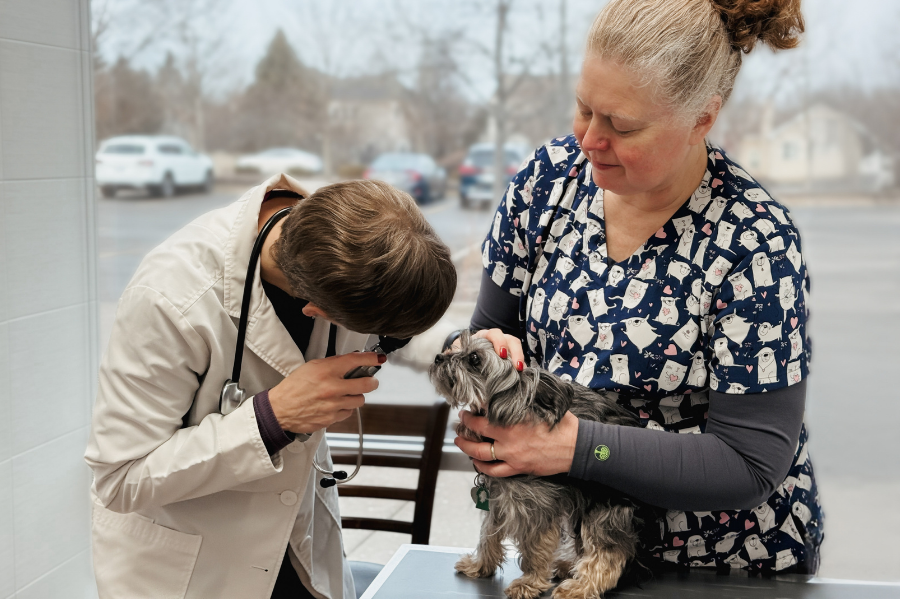 Heather with a small dog