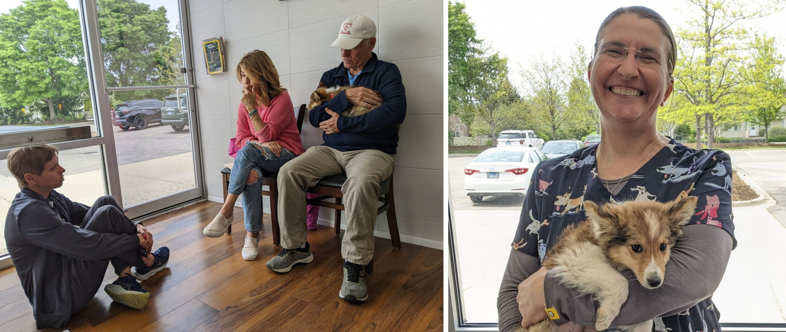 Smiling woman holding a puppy indoors near a window Smiling woman holding a puppy indoors near a window
