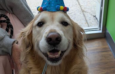 You say it’s your birthday!