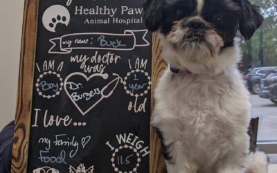 Buck hit the jackpot with his forever family