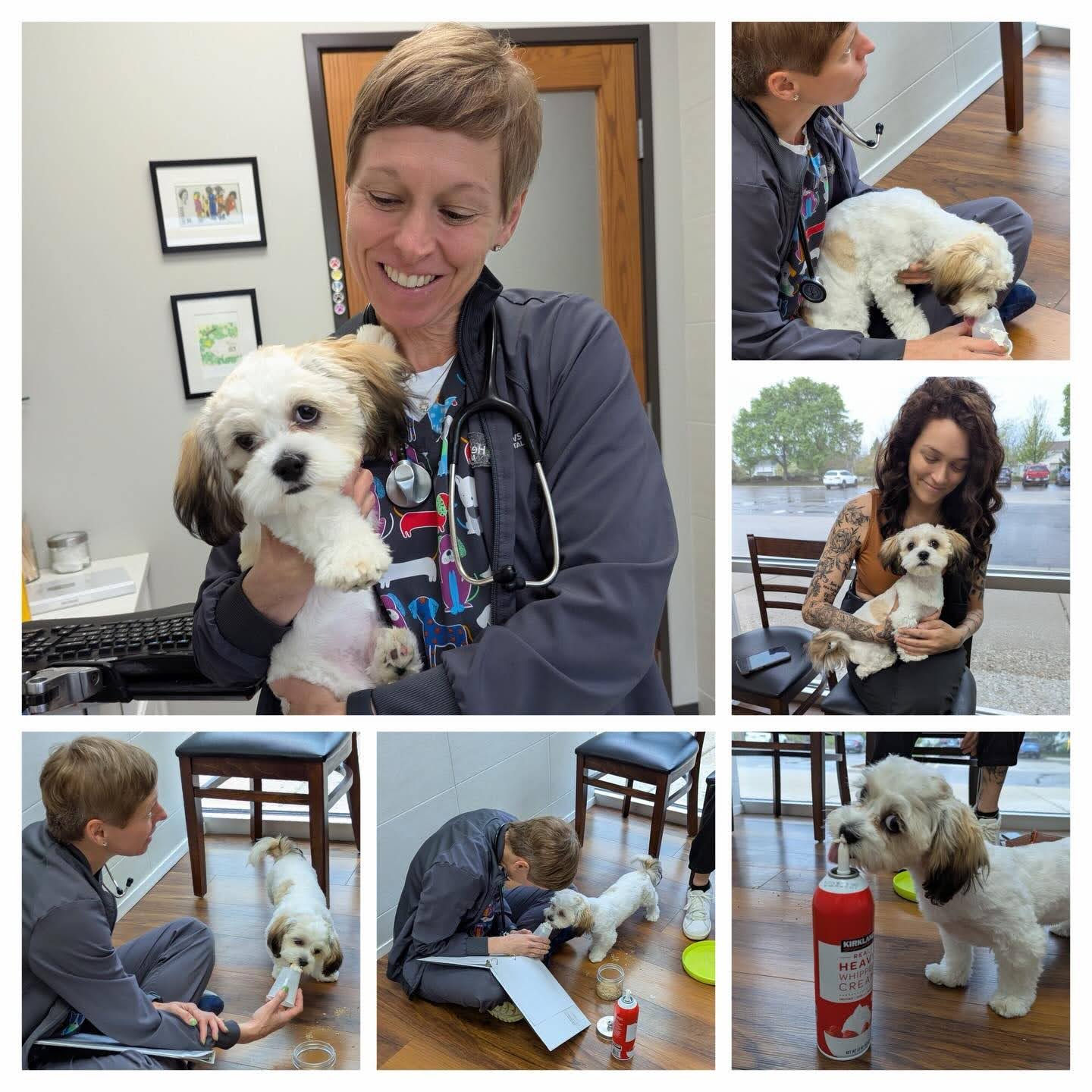 Georgie’s first puppy wellness visit!