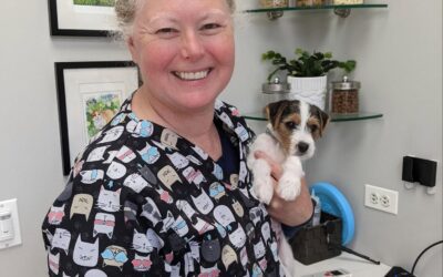 Holding cute puppies is part of the job