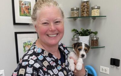 Holding cute puppies is part of the job