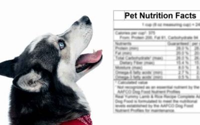 How to Read a Pet Food Label: A Veterinary Guide