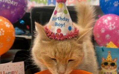 Gus Turns 11!