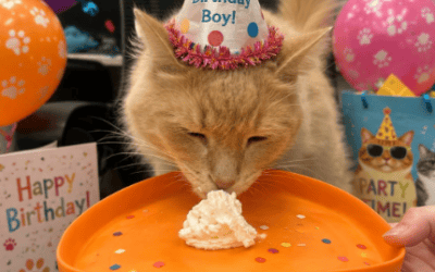 Gus Turns 11!