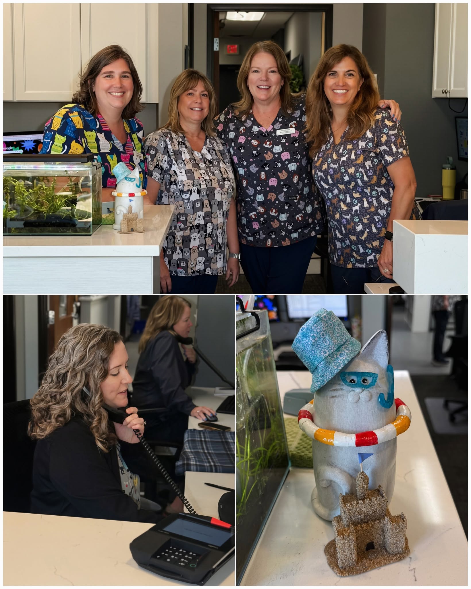 Healthy Paws Animal Hospital care coordinators smiling together at the front desk, alongside Counter Cat by Carol, a hand-painted cat figurine dressed for the beach.