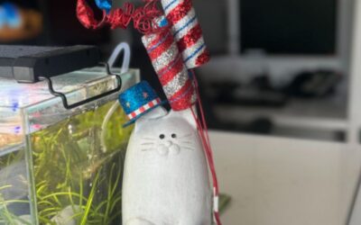 Carol and the Counter Cat