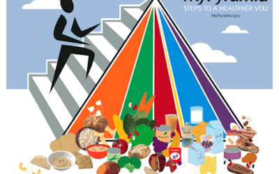 Why a Board-Certified Veterinary Nutritionist Matters in Pet Food