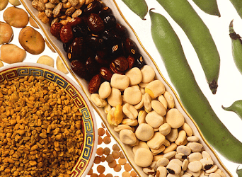 Grain-Free Dog Food and Heart Disease: What Pet Owners Need to Know