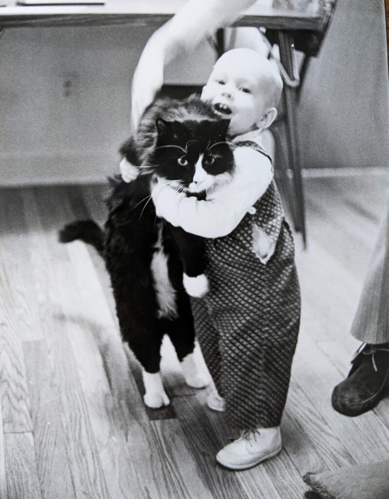 A toddler carrying Cicero, a black and white cat, dangling from her arms