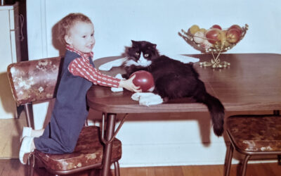 Caring for Cats: What Makes Them Different and Why It Matters