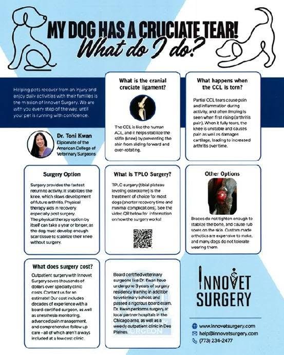Innovet Surgery information sheet explaining canine cranial cruciate ligament tears and TPLO surgery, featuring Dr. Toni Kwan, Diplomate of the American College of Veterinary Surgeons.