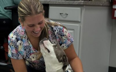 Team Thursday: Lizzie and the Road to Vet School