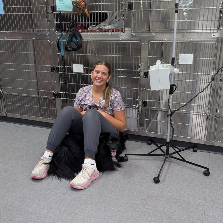 Lizzie sitting on the treatment-room floor with a long-haired black dog resting against her legs.