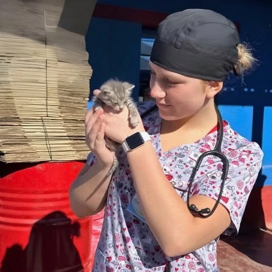 Lizzie cradling a small gray tabby kitten outside Healthy Paws Animal Hospital.