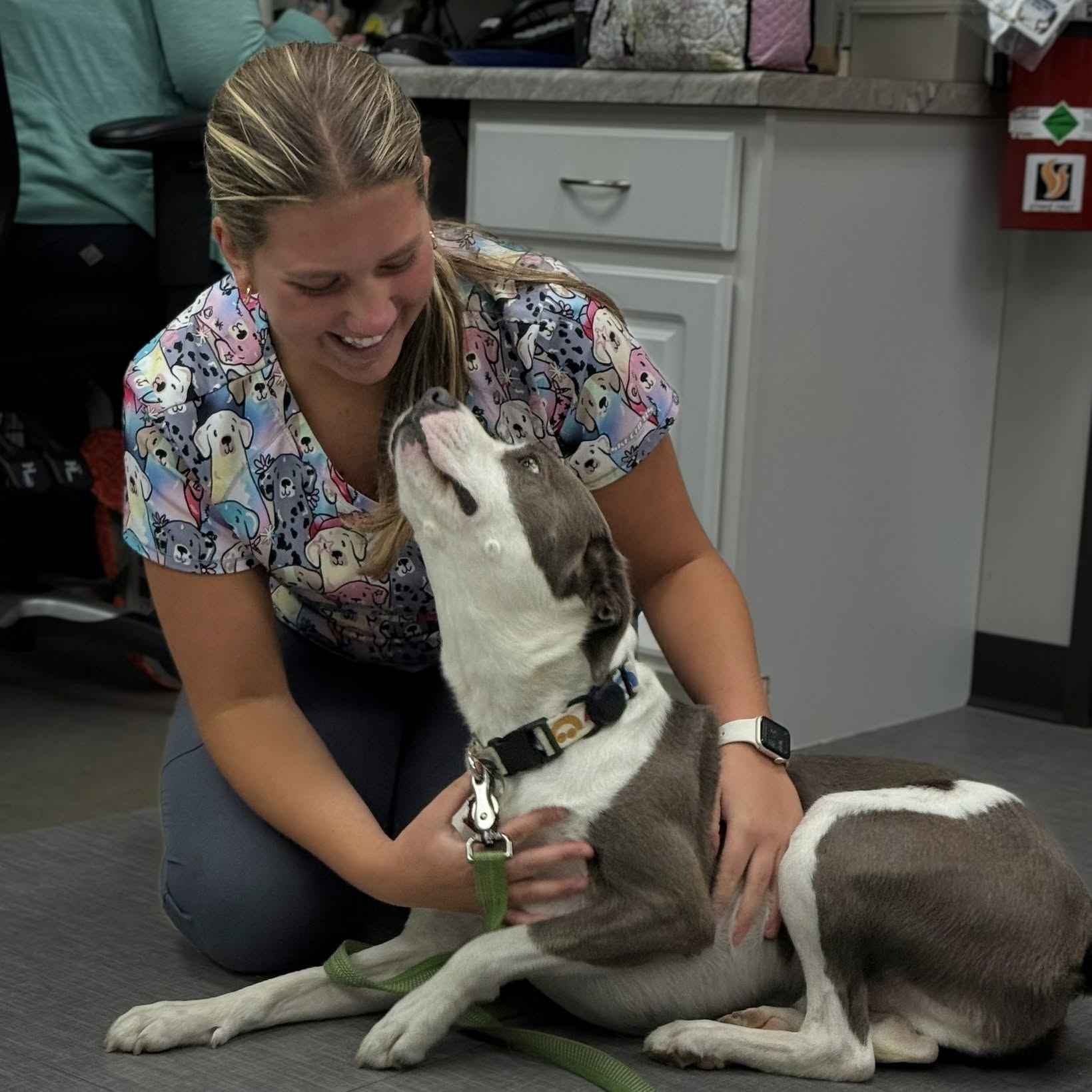 Lizzie kneeling beside a gray-and-white dog looking up at her in the treatment area at Healthy Paws Animal Hospital.