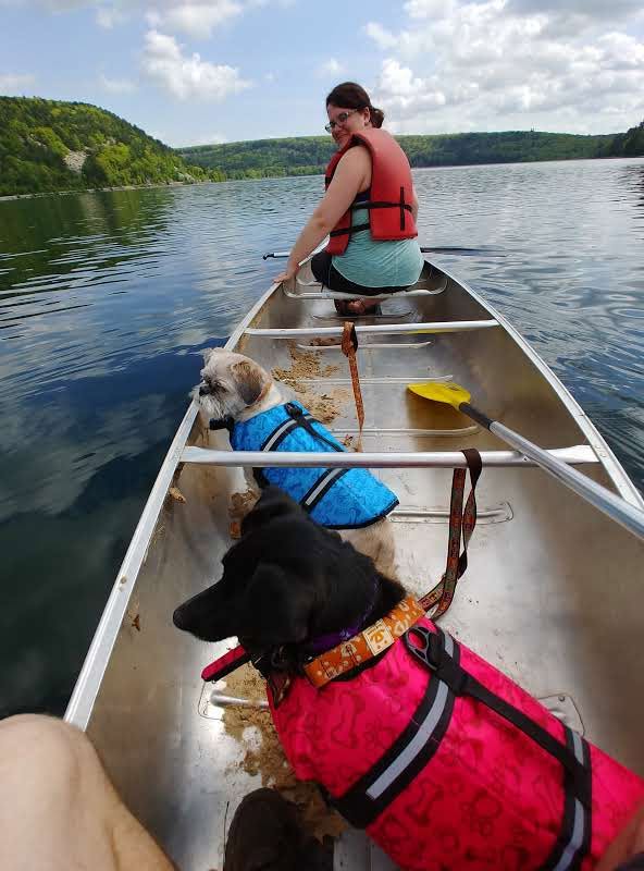 Amanda Schwarz paddling a canoe on a lake with her two dogs in life jackets.