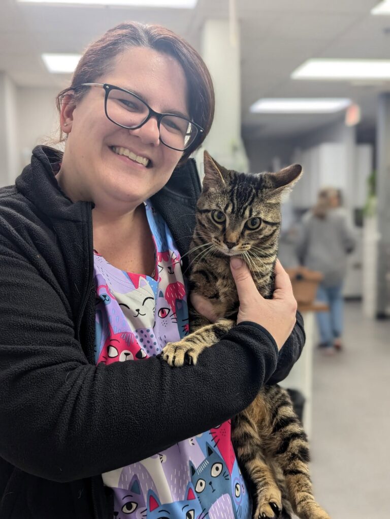Amanda Schwarz cradling a brown tabby cat in the Healthy Paws Animal Hospital treatment area.